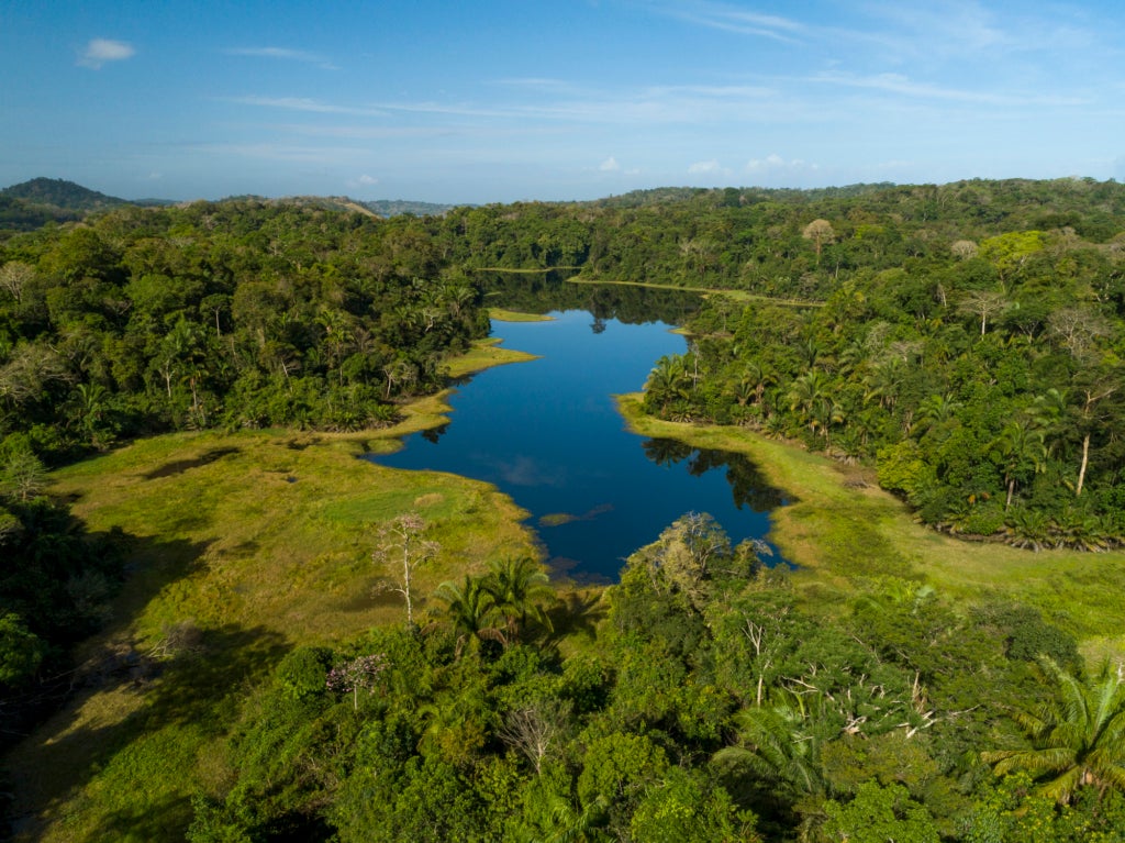 The Panama Canal stretches through a tropical rainforest in Soberania National Park, Panama.
