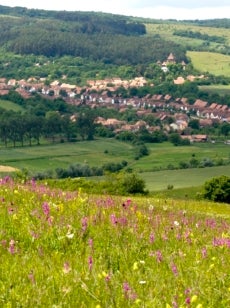 Hilly grasslands span into the distance where a village is nestled in the landscape