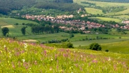 New Biodiversity Credits Could Save At-Risk Grasslands in Târnava Mare