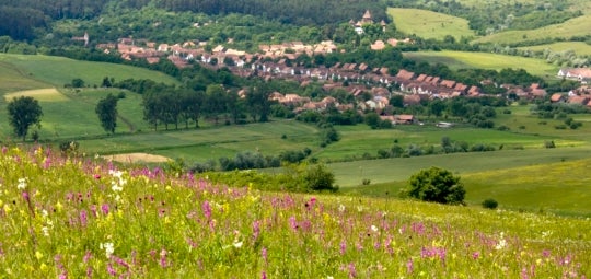 Hilly grasslands span into the distance where a village is nestled in the landscape