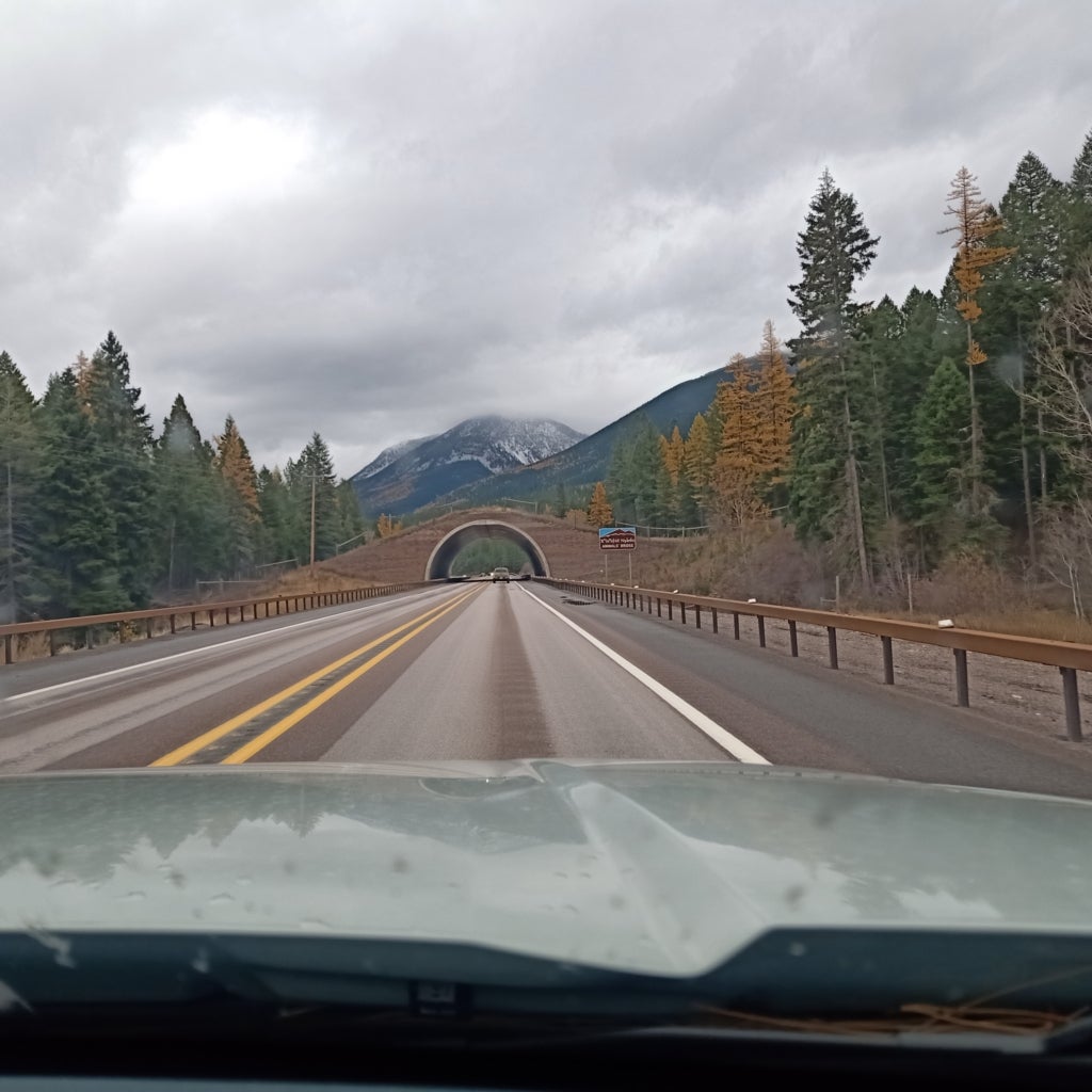 A wildlife crossing spans a two-lane road in Montana.