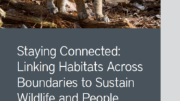 Staying Connected: Linking Habitats Across Boundaries to Sustain Wildlife and People