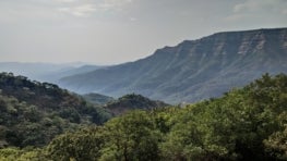 Working with private landowners in the northern Western Ghats to conserve biodiversity-rich forests in India