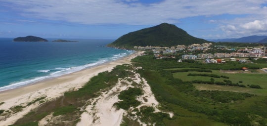 Verdant coastline.