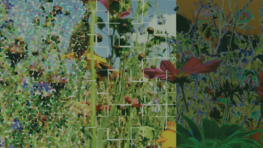 Three Perspectives on Biodiversity Conservation Strategy
