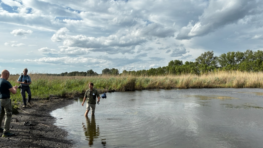 Wetlands as Climate Solutions: Eurosite’s Nature-based Solutions Study Tour to Slovakia