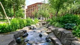 Delivering Community Benefits from Community Lands Through Conservation and Nature-Based Solutions