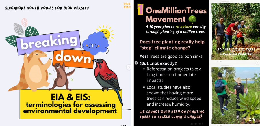 Singaport Youth Voices for Biodiversity Biod Bites social media posts.