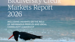 Voluntary Biodiversity Credit Markets Report 2026