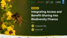 Integrating Access and Benefit-Sharing into Biodiversity Finance