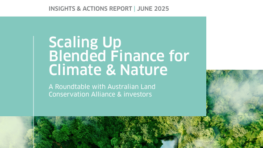 Scaling Up  Blended Finance for  Climate & Nature
