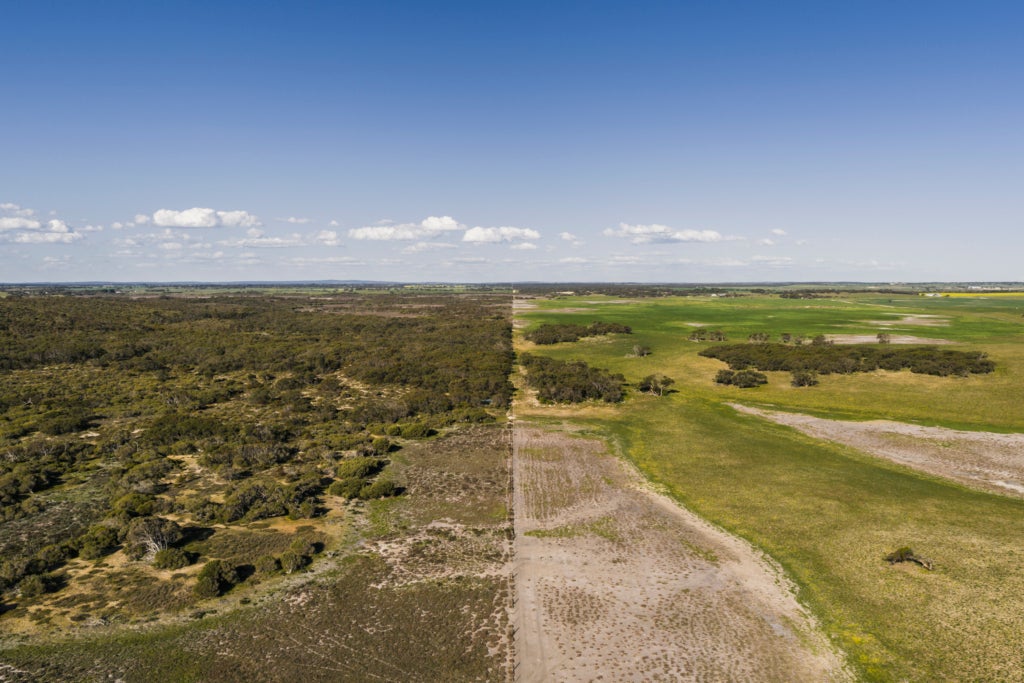 Aerial image of a lush savanna landscape.